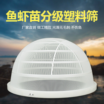 Plastic fish sieve Fry screening Seedlings of crucian carp Loach size classification plastic sieve sorting sieve does not hurt fish