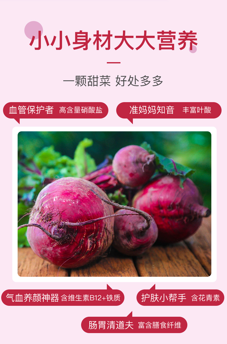 东升农场新鲜现摘红菜头甜菜根