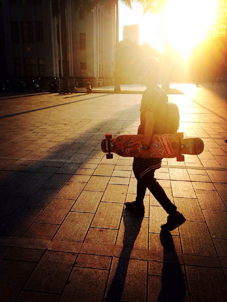 Skate pour homme femme enfant      - Ref 2600747 Image 15