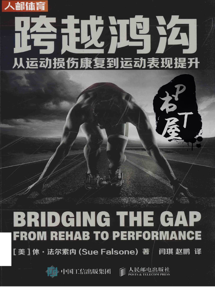 跨越鸿沟 从运动损伤康复到运动表现提升 Book Cover