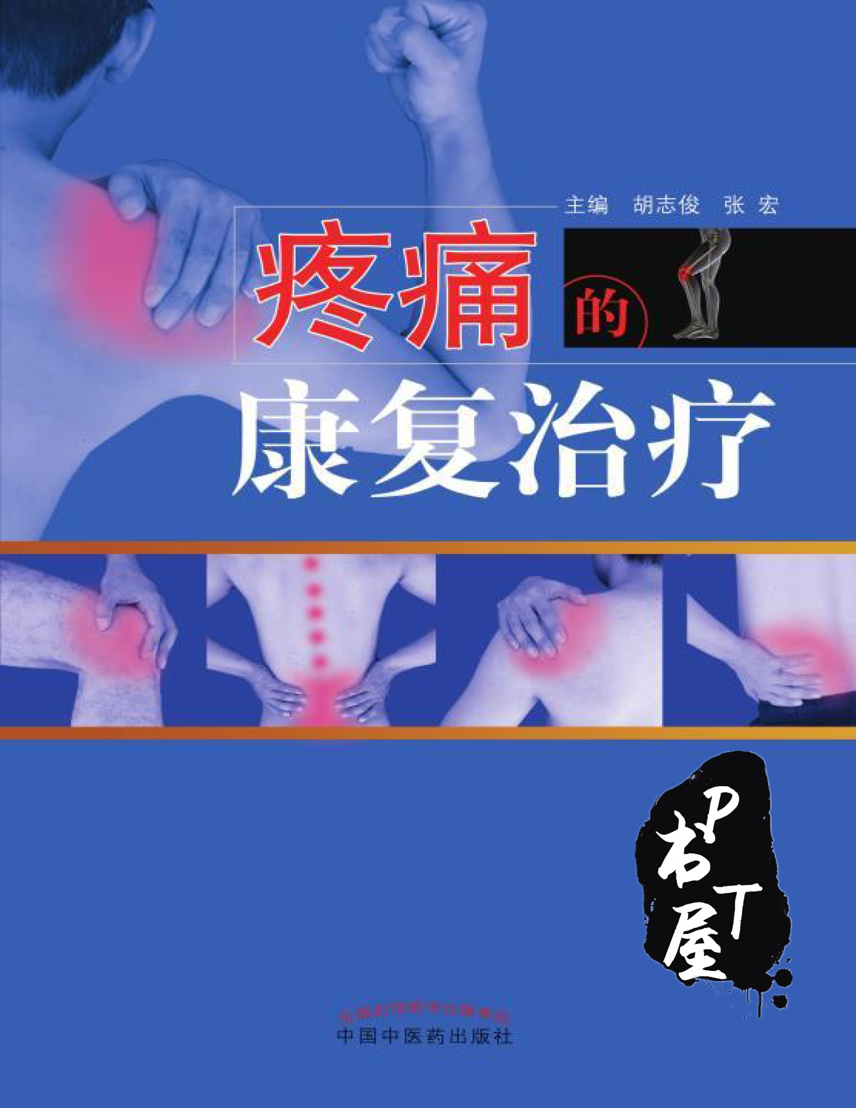 疼痛的康复治疗 Book Cover