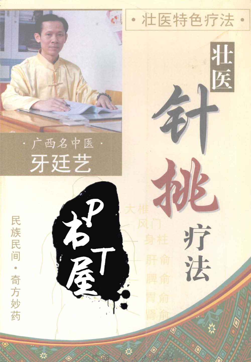 壮医特色疗法 壮医针挑疗法 Book Cover