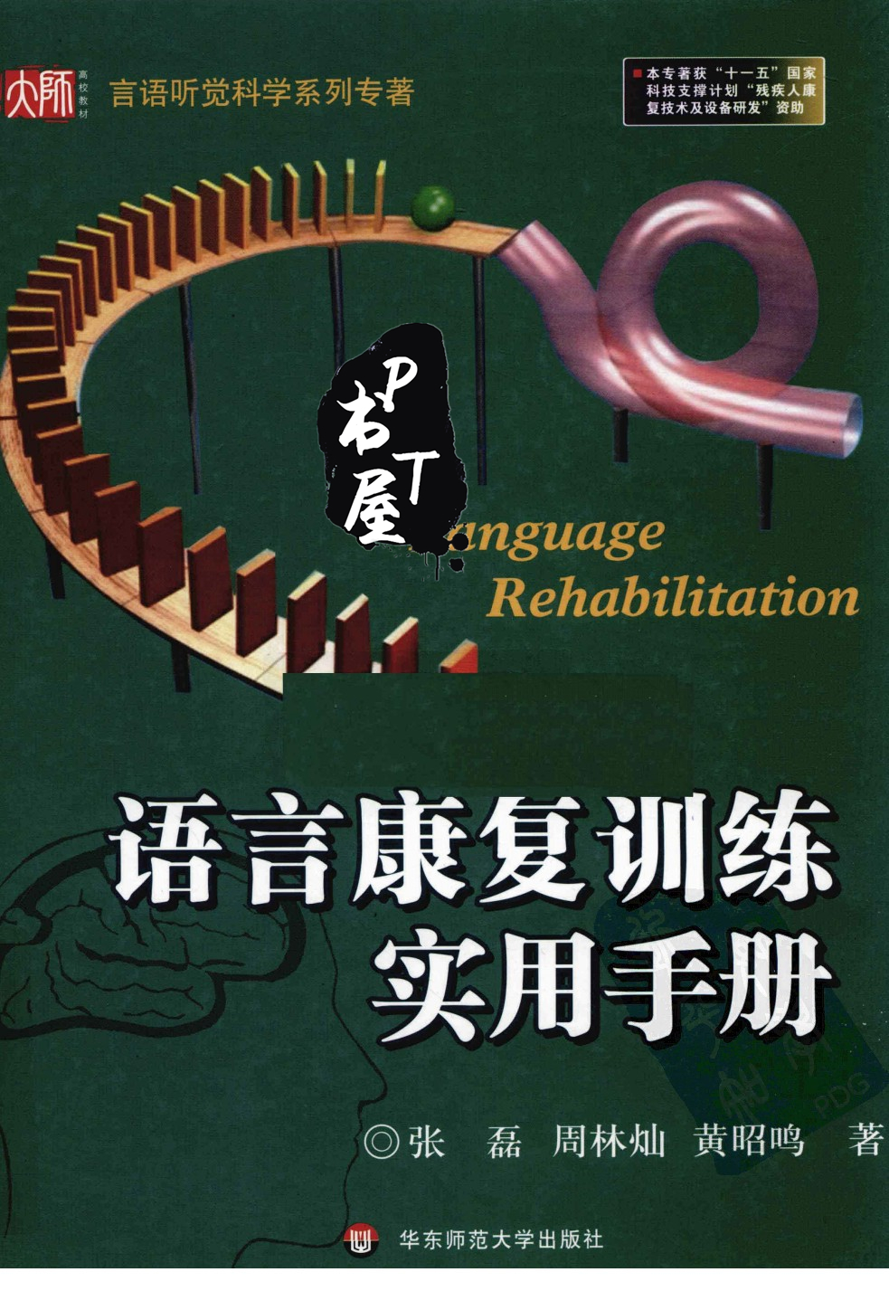 语言康复训练实用手册 Book Cover