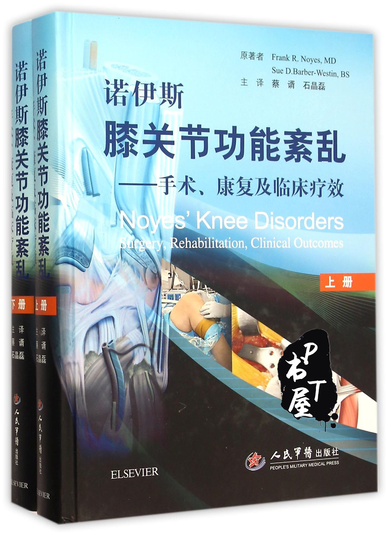 诺伊斯膝关节功能紊乱 手术、康复及临床疗效（上下册） Book Cover