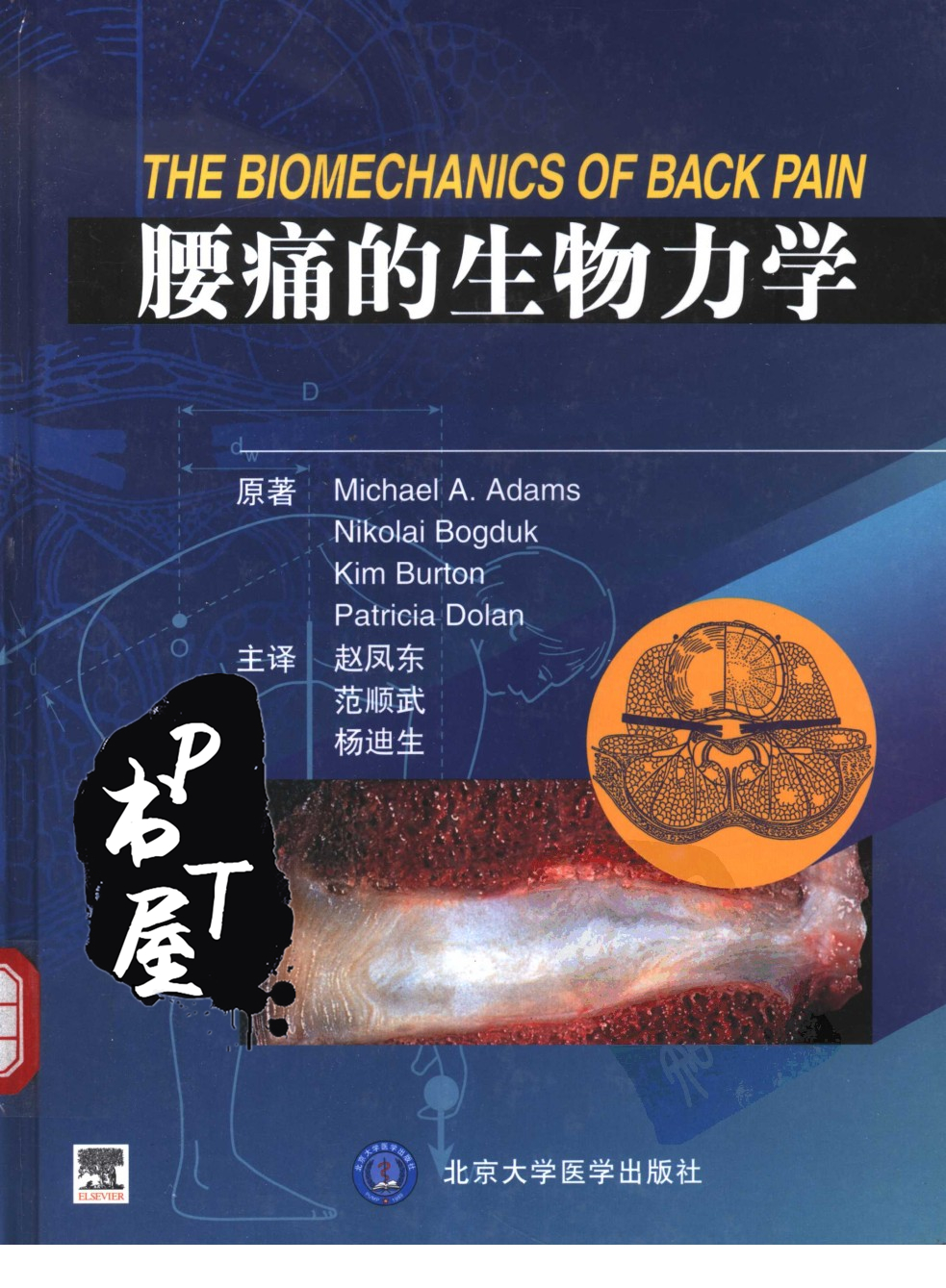 腰痛的生物力学 Book Cover