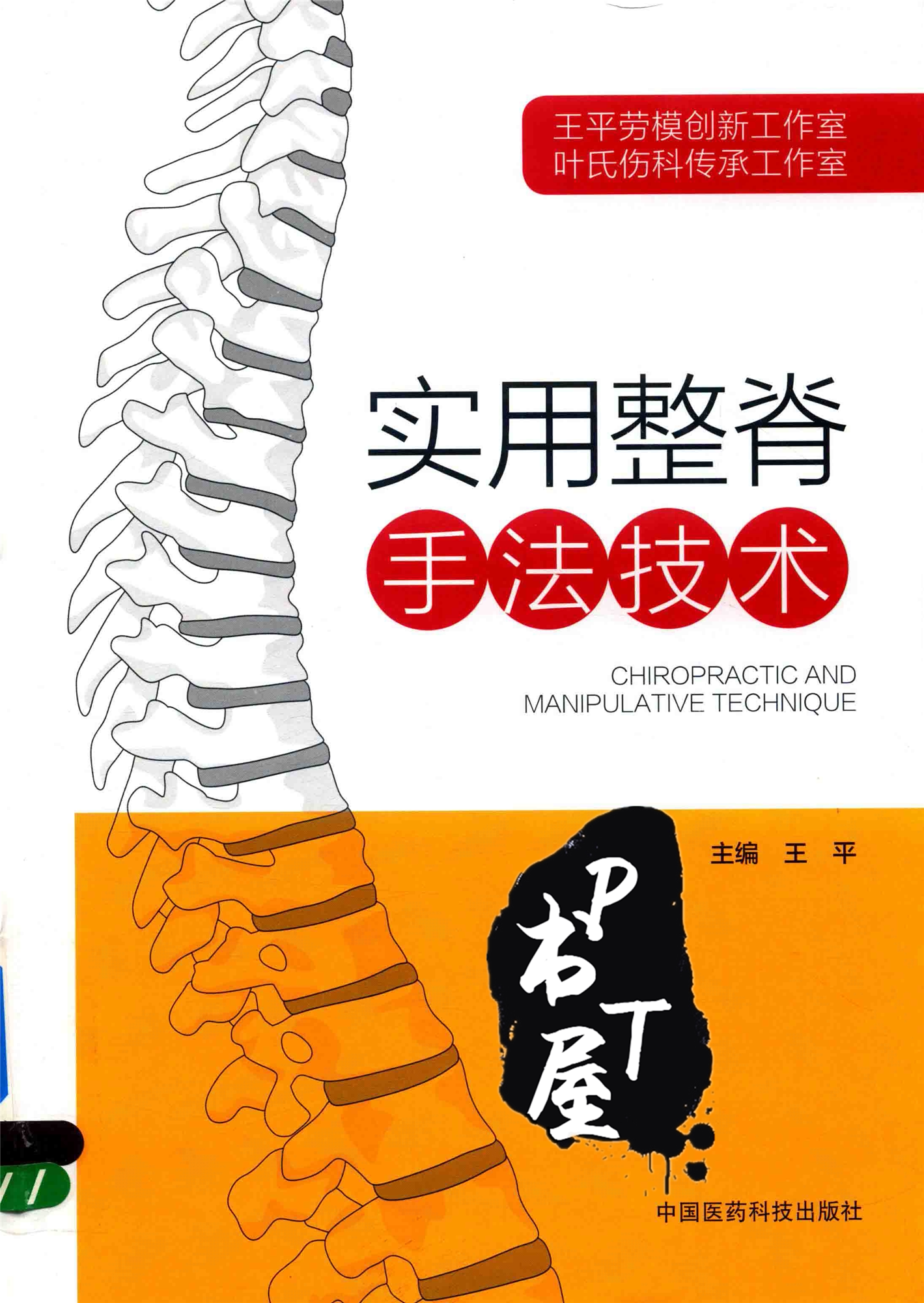 实用整脊手法技术 Book Cover