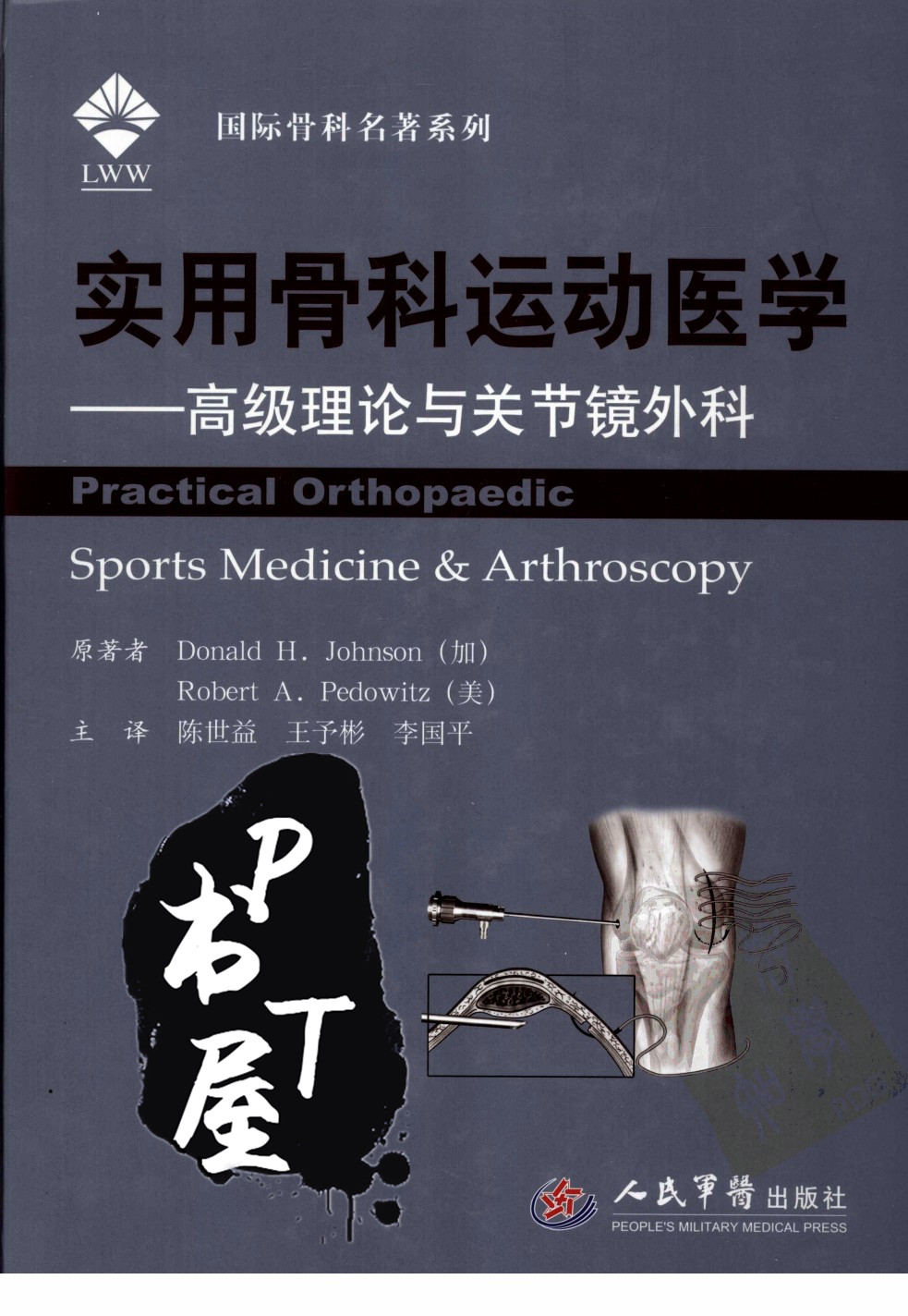 实用骨科运动医学：高级理论与关节镜外科 Book Cover