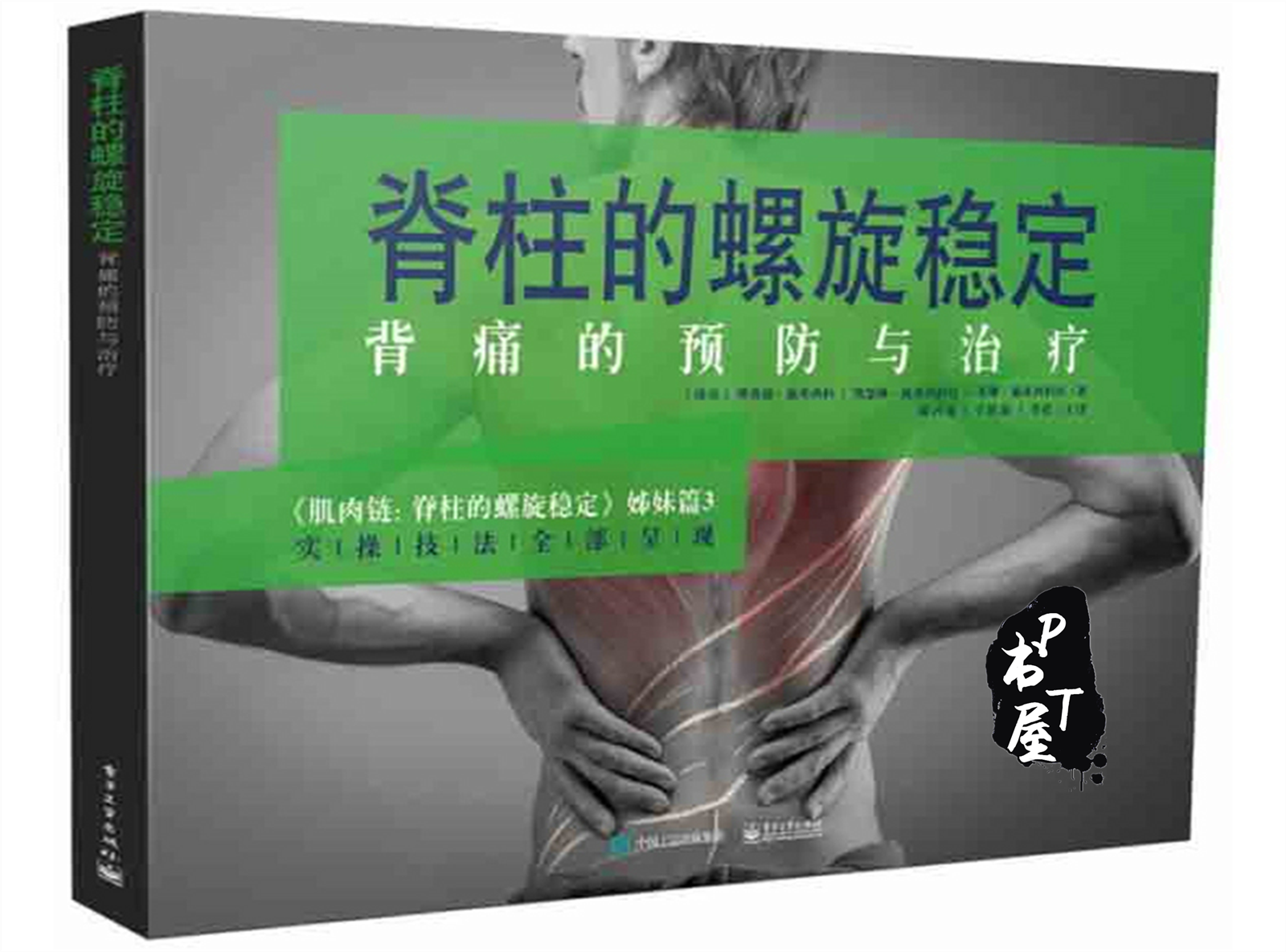 脊柱的螺旋稳定 背痛的预防与治疗 Book Cover