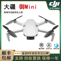 DJI DJI Mini Minis