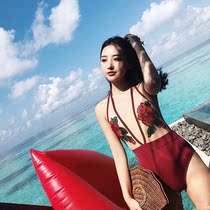 Little Red Book with rose embroidery mesh one-piece swimsuit women European and American big sexy coquettish hot spring swimsuit women