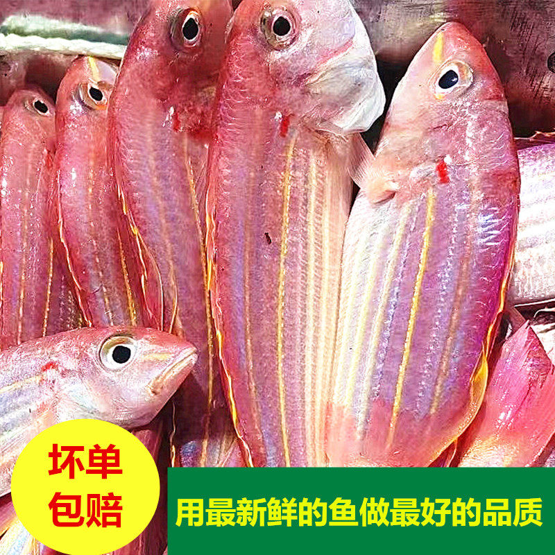 红衫鱼真的能治疗心脏病吗?💊🐟真相揭秘-生活-淘宝百科网