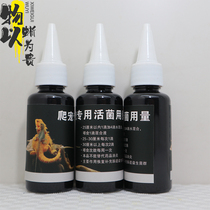 Reptile Pet Probiotics Bearded Dragon Lizard Horned Frog Intestinal Diarrhea Conditioning BAO WEN Gecko Enteritis Refusal to Feed Fat-tailed Gecko Reptile