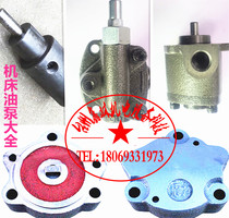 Ganmen milling machine oil pump power head oil pump machine tool plunger pump strong milling machine side milling machine oil pump oiler