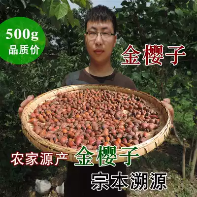 Golden Sakurako 500g dried Golden Sakurako meat Golden Sakurako Fresh dried goods soaked wine Golden Sakurako