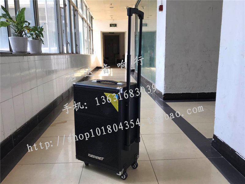 YS-2212 12 inch high power mobile singing speaker Singing guitar instrument sound 300W