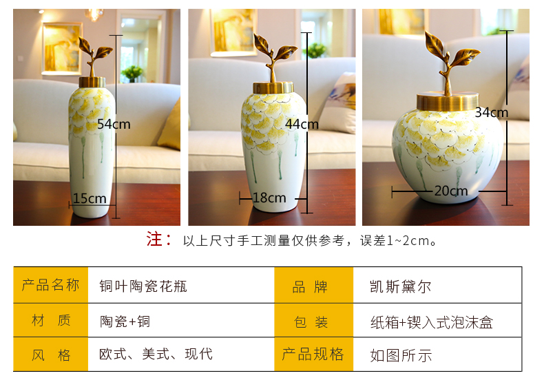 Europe type TV ark, adornment of new Chinese style ceramic vase furnishing articles dried flowers flower arrangement sitting room porch ark, desktop decoration