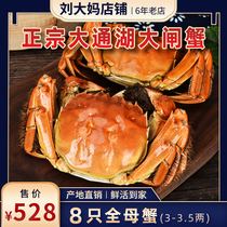 Live Lake Crab Cave Courtyard Lake Hairy Crab Chase Lake Hairy Crab Crab Full Mother Crab 8 Only 3 5 2 Shunfeng