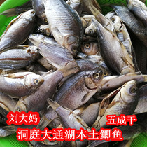 Liu Dama Dongting Lake Native Crucian Carp Five Percent of Qianyang Dry farmhouse homemade 2 catties 4 catty