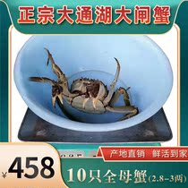 Live aquatic products Tongcheng Dongting Lake Chase Lake Grand Gate Crab crab Lake crab 10 only 3-two full mother crab Shunfeng