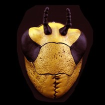 Rare and hidden version Halloween horror games film and TV themed balls arranged resin white masks insect submasks