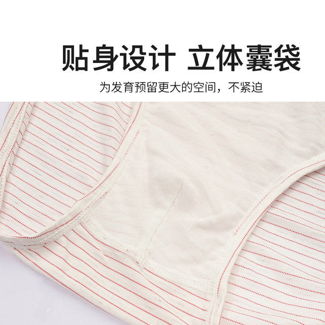 Modal Boys' Underwear, Big Boys' Plus-Size Briefs, Fat Boys' Shorts, Thin Teenage Underwear