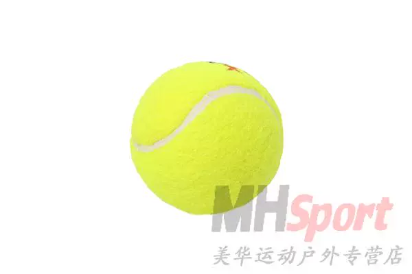 Teloon / Tianlong Tennis Người mới bắt đầu Chuyển tiếp Tennis Tennis Tennis Tennis 831 Đào tạo Bóng áp suất thấp