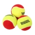 Teloon / Tianlong Tennis Người mới bắt đầu Chuyển tiếp Tennis Tennis Tennis Tennis 831 Đào tạo Bóng áp suất thấp