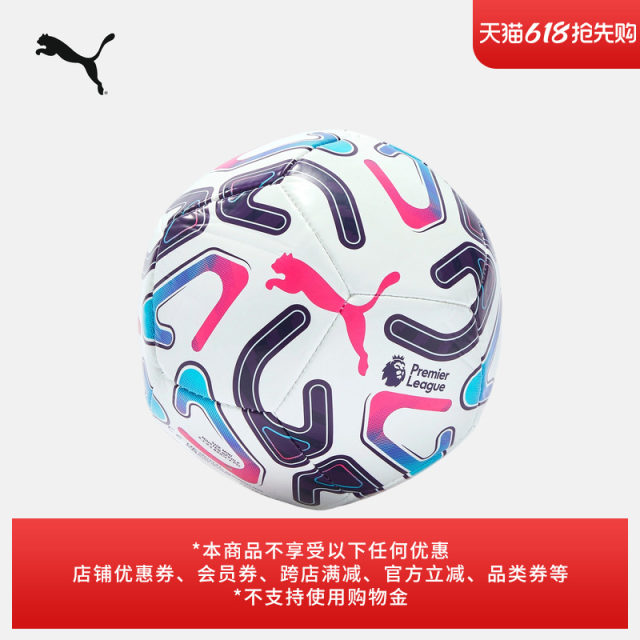 Premier League Polyurethane Mini Football PUMA Puma