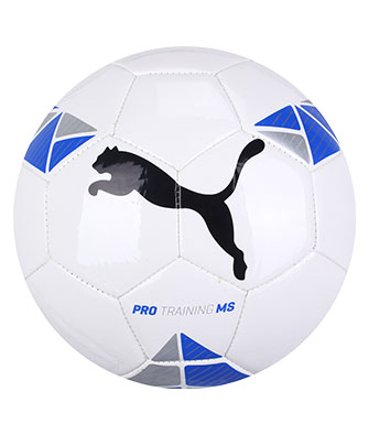 Ballon de foot - Ref 6505 Image 6