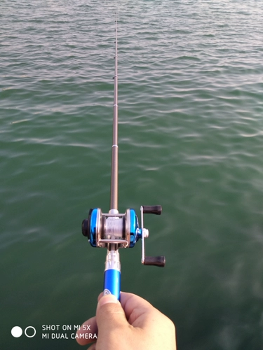 Металлическая ручка, маленькое колесо, 1м, 1.4м