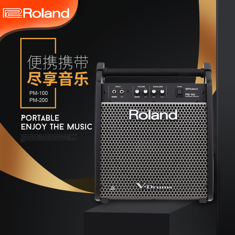 ROLAND ROLAND PM100  巳  ޸  û  PM03  巳 Ŀ PM200 巳  