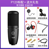 Микрофон, набор, P120