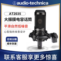 Audio Technica Iron Triangl