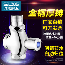 Shilong toilet Toilet stool pool delay flushing valve Squat toilet flushing valve Hand press type self-closing switch