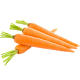 Fruit carrot seeds vegetable seed fingers Japanese mini crispy sweet four-season red carrot seeds