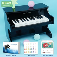 Вице -фортепиано 25 Ключ [Light Edition+Black]