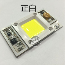 220V drive-free LED wick 50W 100W flood light street lamp beads positive white warm white red green blue yellow