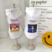 Teddy puppy clothes Koji puppies small dogs cat autumn clothes pet fight bear clothes