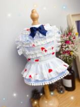 Original handmade custom pet clothes Lolita lace princess dress Teddy Bomeifa Dou Schnauzer Yorkshire