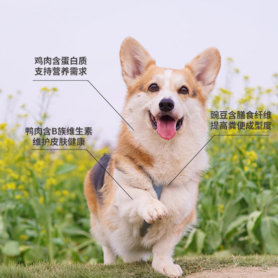 比乐狗粮12kg鸭肉梨原味守护者bile成犬粮小型