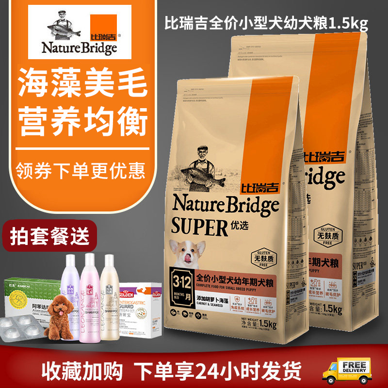 Birikit dog eating small dog puppies 1 5kg teddy pooches than bear Snownery Beaumey fur go to tears