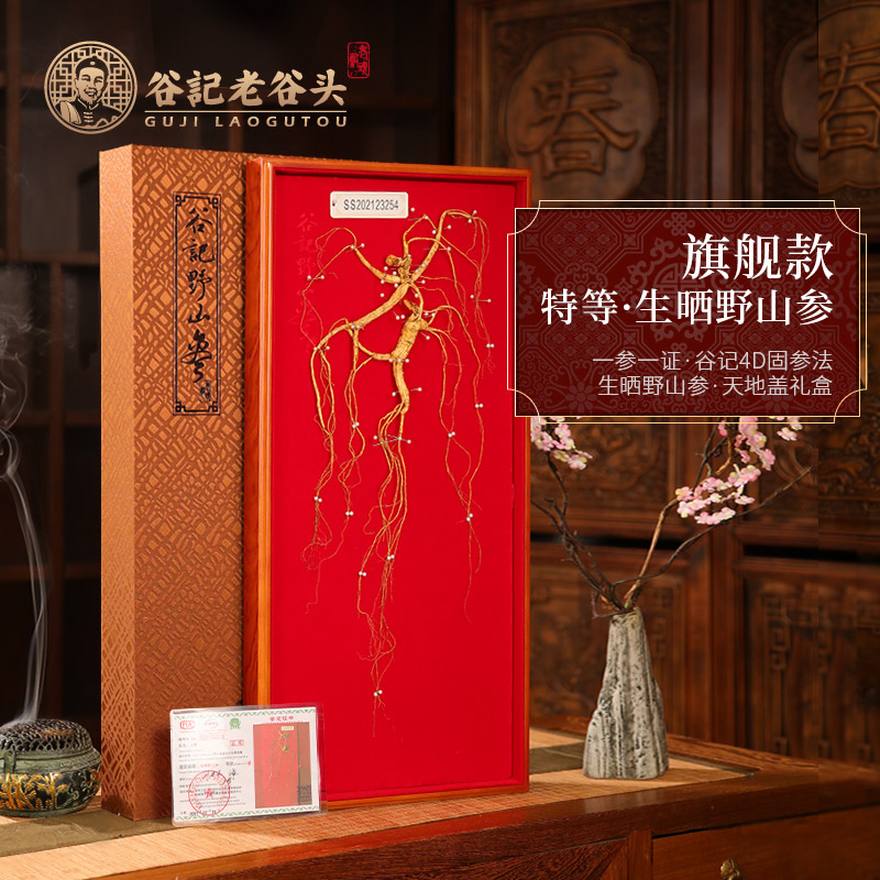 Old Valley Head ginseng Mountain ginseng Mountain ginseng Changbai Mountain Lower Ginseng Box Courtesy Kit Outdoor Growth Dry Ginseng