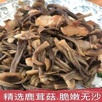 Crispy deer antler mushroom dried goods deer fungus 500g mushroom complete edible fungus natural soup food specialty