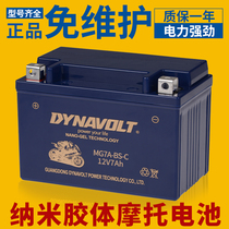 Lion motorcycle 12v7ah battery maintenance-free dry battery YTX7A scooter 125 general factory direct sales