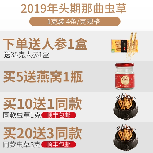 汉草荟 Cordyceps Sinensis подлинный дикий кордицепс 4 1 грамм тибетских кордицепсов без сломанной травы