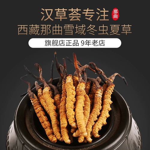 汉草荟 Cordyceps Sinensis подлинный дикий кордицепс 4 1 грамм тибетских кордицепсов без сломанной травы