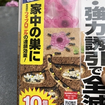  Japanese household indoor ant trap erbium sweet type ant garden ant damage 10