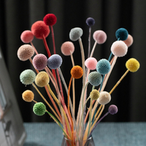 Rose forever flower small white yellow gold ball lollipop keep flower dry flower home decoration soft dress diy