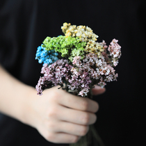 Rosewood French White Meme Daisy Illon Flowers Freshness Flower Imported Dry Flowers Home Soft Dress Flower Arrangement Bottle Small Clear New Wind