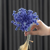 Rosaceae 5 Stars Yonsei Flower Imports Flowers Earth Farmyard Preservation Flower Inserts Vase Home Soft decoration DIY